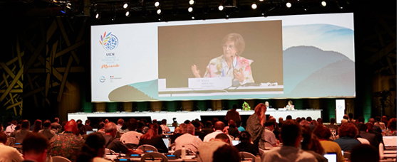 El Congreso Mundial de la Naturaleza de la UICN pide una recuperación basada en la naturaleza